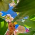 Skylander (@xojourner) Twitter profile photo Skylander (@xojourner) Twitter profile photo