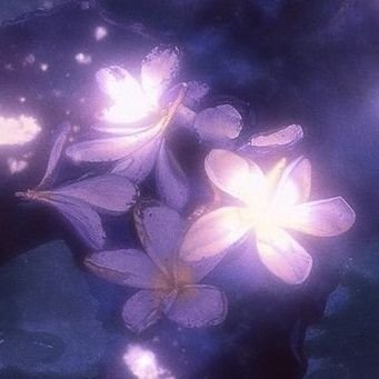 StarBerries13's profile picture. ☆ 20 ☆
☆ They/Them ☆
☆ Nonbinary ☆
☆ In a t4t relationship ☆
☆ @estradiolgang ☆
☆🏴󠁧󠁢󠁥󠁮󠁧󠁿🇮🇹🏳️‍⚧️🏳️‍🌈☆