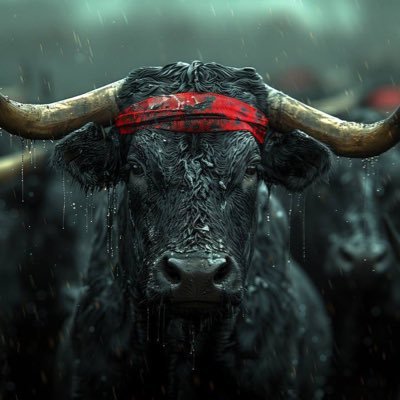 baluthebear666's profile picture. $GME
