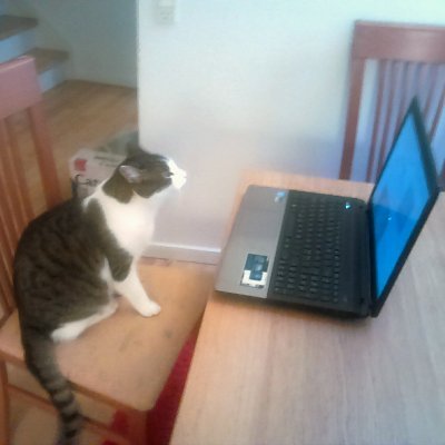 mc_vinding's profile picture. Evil scientist/mad Research Fellow (not yet professor). At one point I tweeted about science and politics, now it is just an abandoned account.