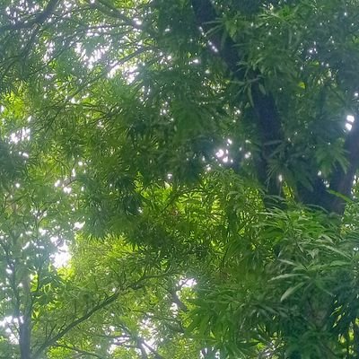 JonasDe1Mar's profile picture. 