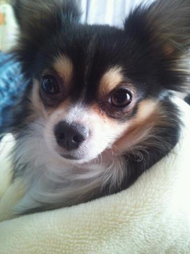 naru201's profile picture. 