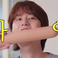 Kyuhyunism practitioner (@kyu_pillow) 's Twitter Profile