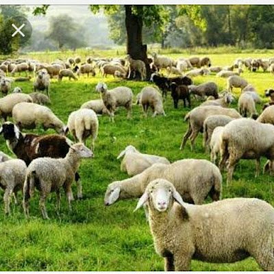 arjun_khan32624's profile picture. 