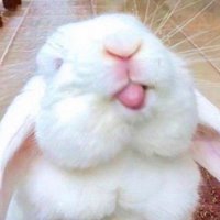 부랑자 (@blanco00o) 's Twitter Profile