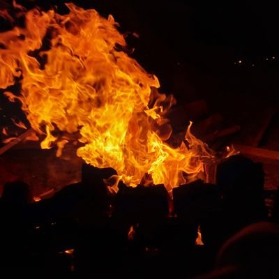 Tah_rish28's profile picture. بمن میگی بگو ....ولی بمن نگو!!!