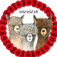 Beirhope Alpacas (@beirhopealpacas) 's Twitter Profile