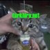 Batuhan (@hotbatus) Twitter profile photo Batuhan (@hotbatus) Twitter profile photo