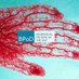 Biomedical Picture of the Day BPoD (@bpod_s) Twitter profile photo Biomedical Picture of the Day BPoD (@bpod_s) Twitter profile photo
