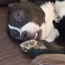 Jacques Stewart - @jacques_st57134 - Twitter