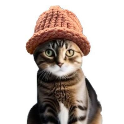 KENNEDY_HERMS's profile picture. crypto currency is the only defense against inflation..
https://t.co/sMUcD1oJKv