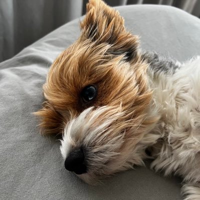 Vathiiicom55813's profile picture. マルザンナ/Wieczna miłość z tobą.