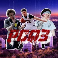 PCQ3 (@_pcq3_) 's Twitter Profile
