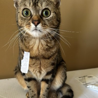 EiileenP's profile picture. 