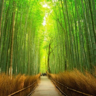 HJadul500's profile picture. newbie   addup