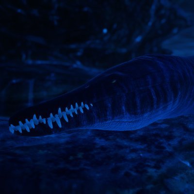 edelgay's profile picture. prehistory enjoyer
she/her