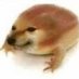 Nathan (@nathan229606) Twitter profile photo Nathan (@nathan229606) Twitter profile photo
