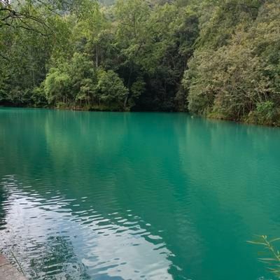 bf617009071749's profile picture. 