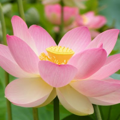 Cristin04615161's profile picture. 