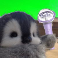 激太りエンゼルクリーム (@__seethelight__) 's Twitter Profile