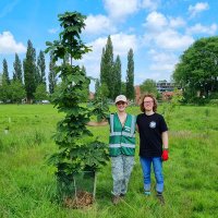 Michael Wakelyn-Green (@mwakelyngreen) 's Twitter Profile Photo