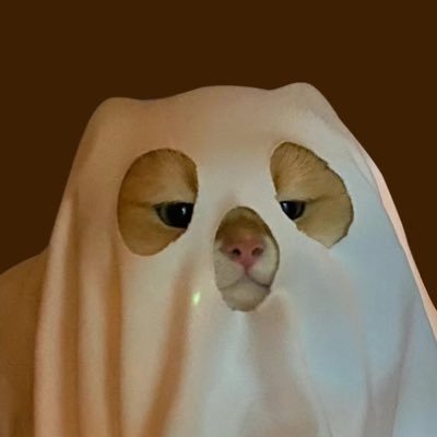 PYoungtina's profile picture. 