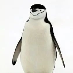 YooSin1087158's profile picture. 