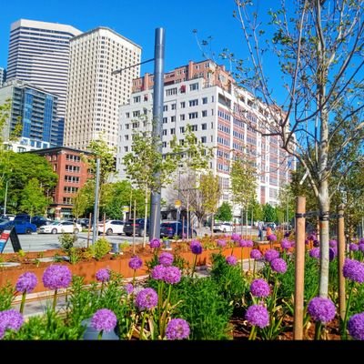 GreenLeavesKE's profile picture. Hospitality | Healthcare