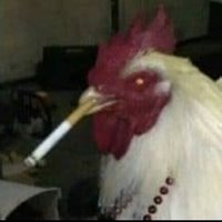 Michael (@michaelsoftxp) 's Twitter Profile Photo