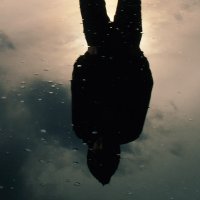 Felix K | Nullpunkt | Hidden Hawaii (@flxk1_) 's Twitter Profile Photo