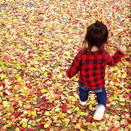 fuuring's profile picture. 