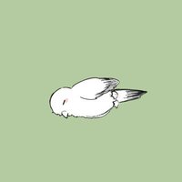 カモメ (@1kamome01) 's Twitter Profile