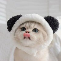 Graceman (@graceman_01) 's Twitter Profile