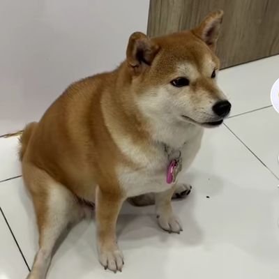 bigbabungbu's profile picture. 