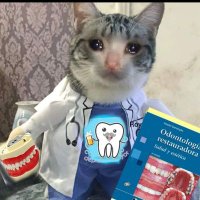 El Roy (Reloaded)🦷🤟 (@cordal_el) 's Twitter Profile