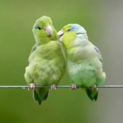 MRijahil24922's profile picture. நீ வாழு மற்றவரை  வாழ வை எண்ணம் போல வாழ்க்கை.