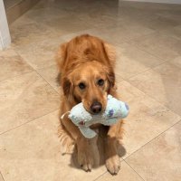 Julie D (@julie_d64386) 's Twitter Profile Photo Julie D (@julie_d64386) 's Twitter Profile Photo