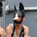 Maddox (@pup_maddox) Twitter profile photo Maddox (@pup_maddox) Twitter profile photo