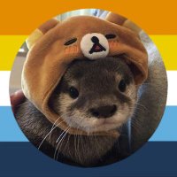 🐈⬛ (@solitqire) 's Twitter Profile Photo 🐈⬛ (@solitqire) 's Twitter Profile Photo