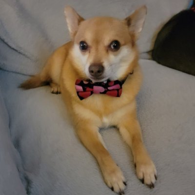 funtasticmrfoxx's profile picture. Concerned and engaged citizen.
Please, no DMs