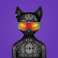 NFTCAT (@nftcat256713) 's Twitter Profile