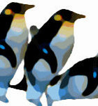 sultardi's profile picture. Lei non sa chi sogno io