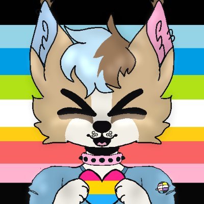 foxfetti @ 🦋さんのプロフィール画像