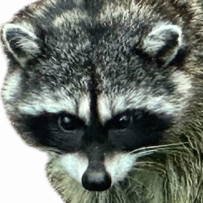 satoji12's profile picture. Dark Web Director of Relational Ideation 💍 Shifter of alliances 🤝 Seeker of Mutual Benefit  👁️Enforcer of Honor Among Thieves.