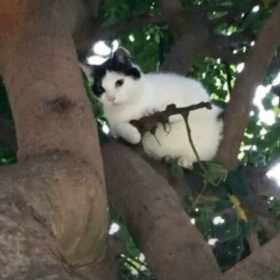 zhhng6657678259's profile picture. 