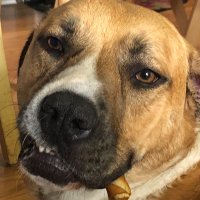 Paige (@paige592297) 's Twitter Profile Photo Paige (@paige592297) 's Twitter Profile Photo