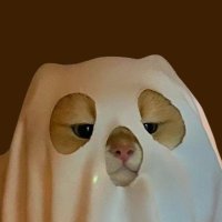 可爱宝贝 (@kebeansprouts) 's Twitter Profile Photo 可爱宝贝 (@kebeansprouts) 's Twitter Profile Photo