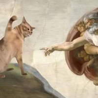 Cat Mama (@theriaboss) 's Twitter Profile