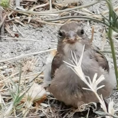 allen_town2682's profile picture. 선팔하시면 맞팔~ SuperWalk👟
 |  $SOMO