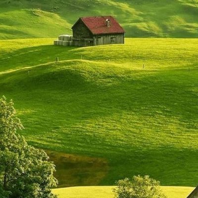 BombMigz36196's profile picture. Bush Dr growing LSO dankness from seed old skool ways…fungal/bacterial balance is the key…crypto, NFT’s, memes, gains, learning, loving and sharing🔥🌱💚